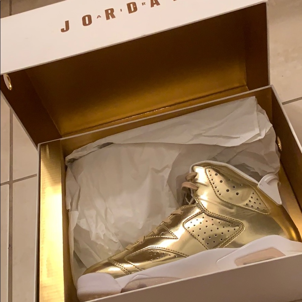 Jordan 6 retro p1nnacle